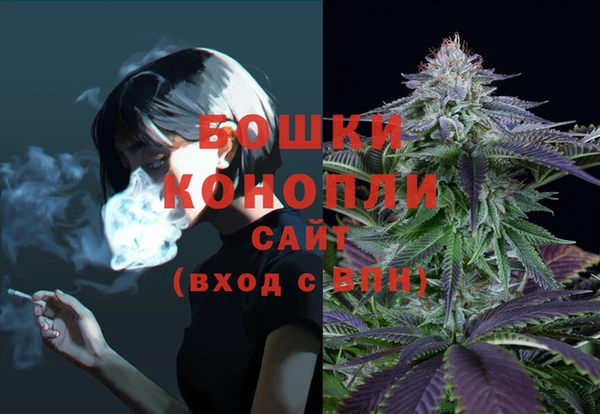 эйфоретик Гусь-Хрустальный
