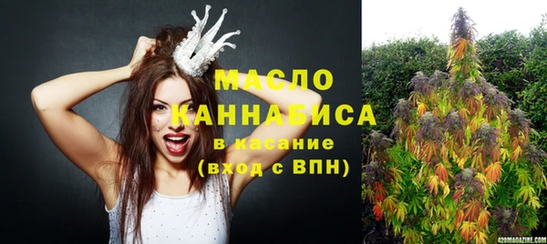 эйфоретик Гусь-Хрустальный