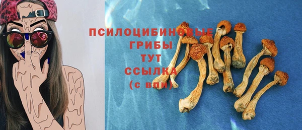 эйфоретик Гусь-Хрустальный