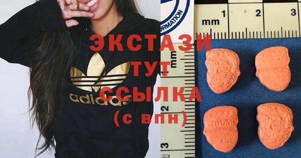 эйфоретик Гусь-Хрустальный