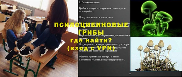 эйфоретик Гусь-Хрустальный