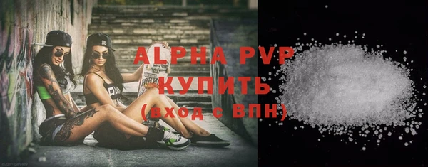 эйфоретик Гусь-Хрустальный