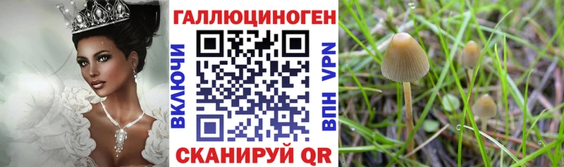Купить  Болотное  Галлюциногенные грибы ЛСД 